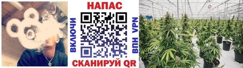 Как найти закладки Салават СК  Меф мяу мяу  ссылка на мегу маркетплейс  Галлюциногенные грибы  Кокаин  Каннабис  Гашиш  ГЕРОИН 