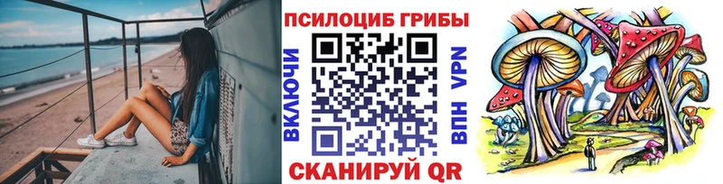 Галлюциногенные грибы Cubensis закладка Салават